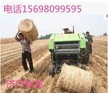 水稻秸秆打捆机 打捆机图片 济宁裕龙农业机械有限责任公司 小麦秸秆打捆机